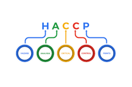 HACCP Eğitimi